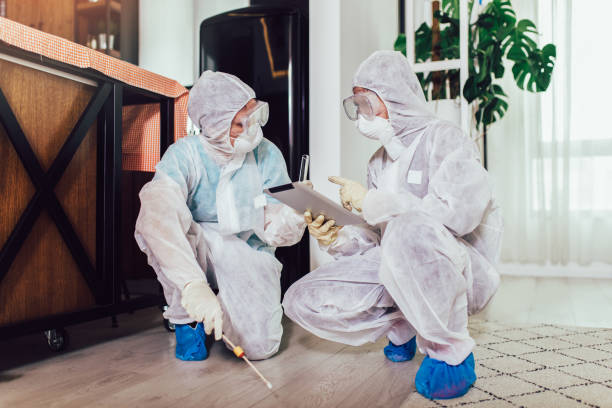 Best Bed Bug Extermination Service in Toronto