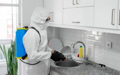 Your Complete Guide to Best Pest Control Services in Toronto