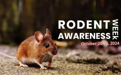 Rodent Awareness Week 2024