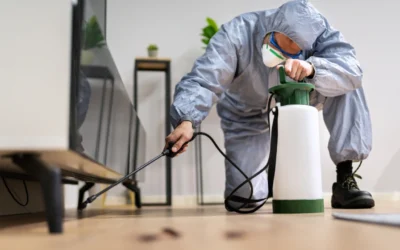 Common Household Pests in Ontario and How to Deal With Them Safely