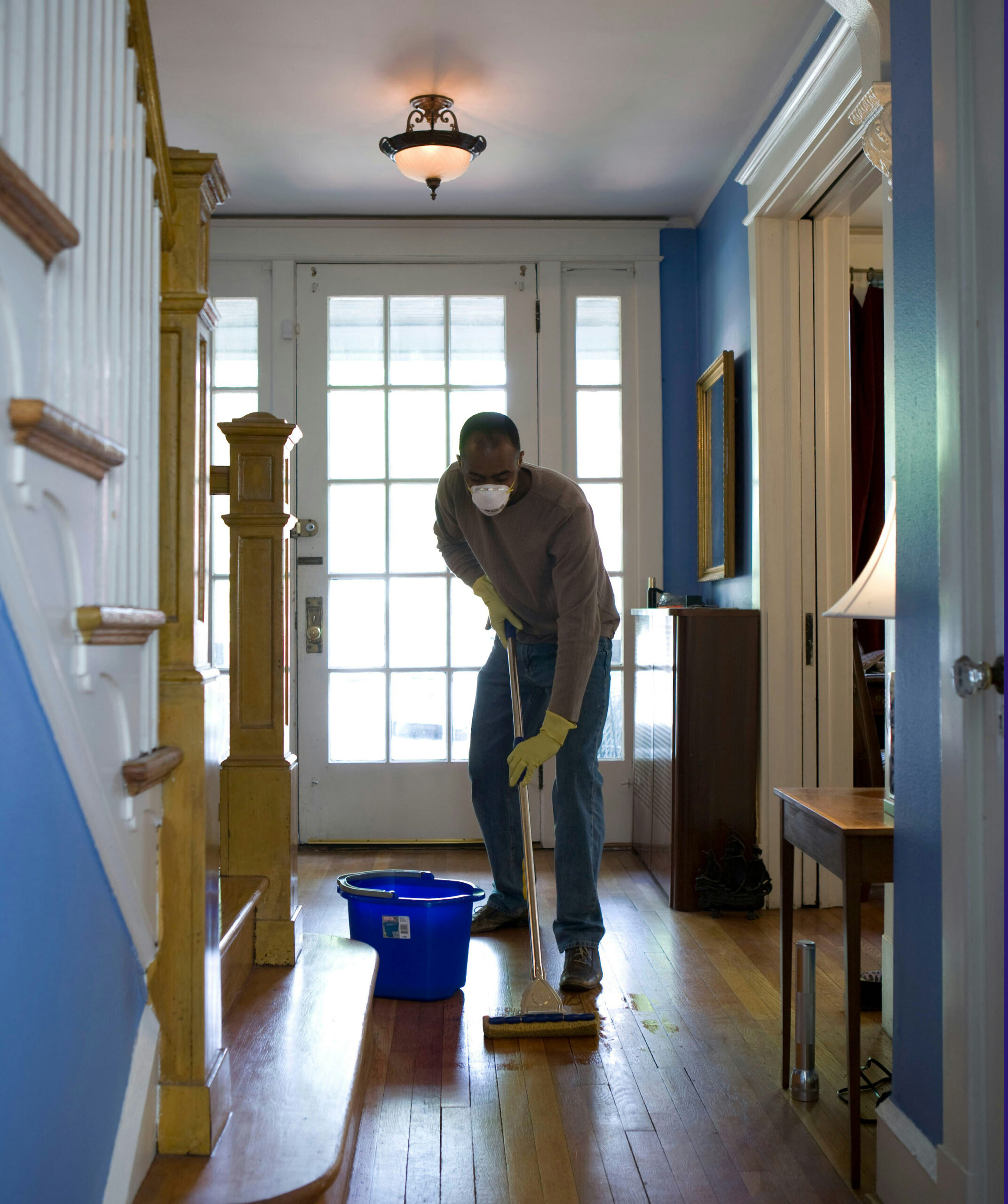Pest control cleaning