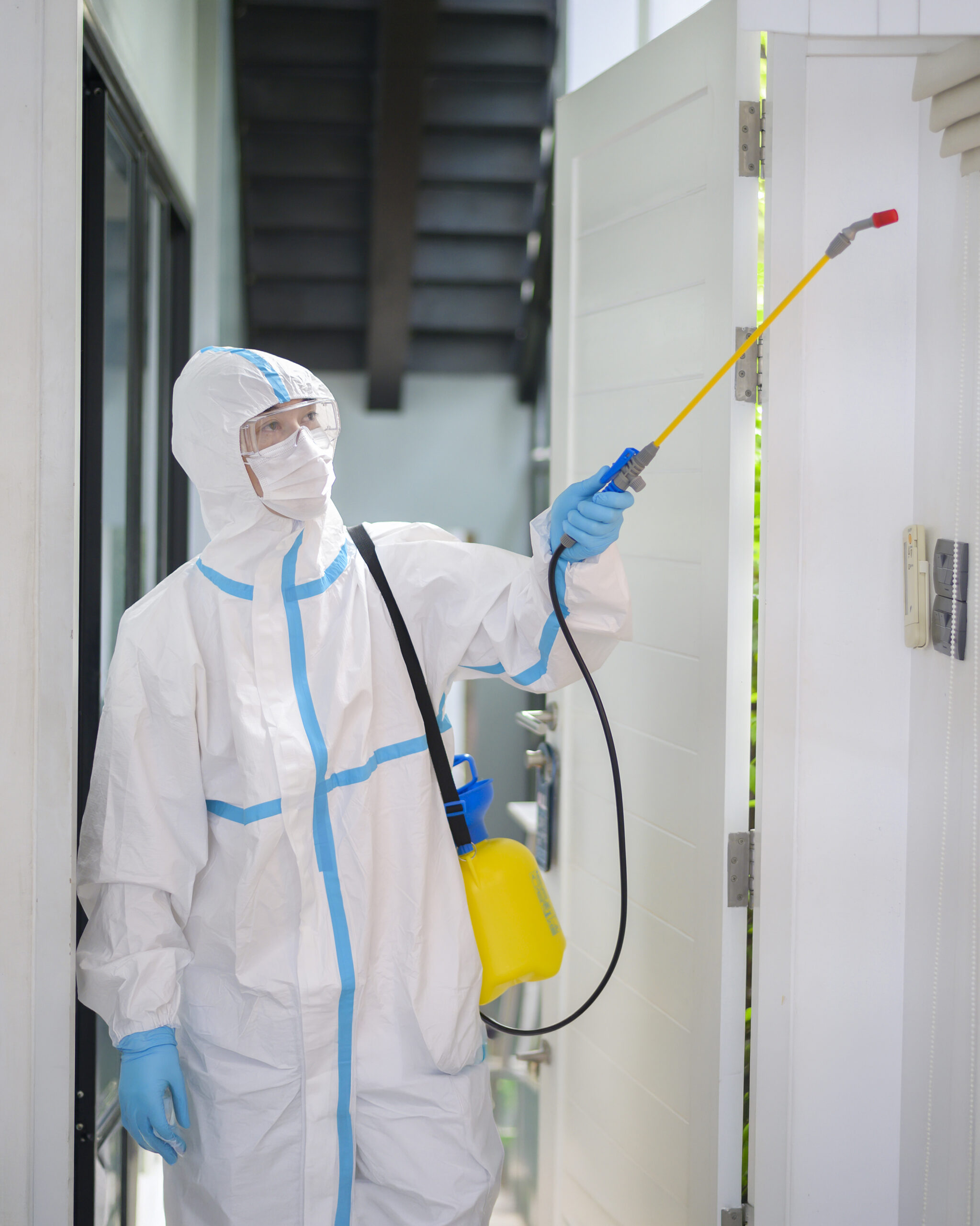 Pest control cleaning